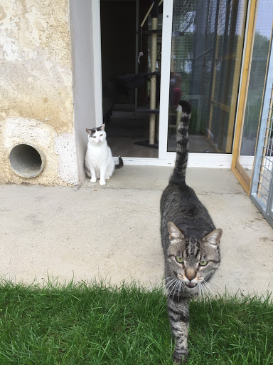 La Maison d'Hôtes Des Chats