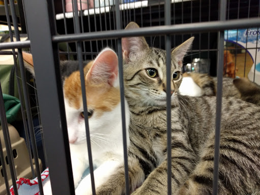 Pet Supply Store «EarthWise Pet Supply», reviews and photos, 7316 Yankee Rd, Liberty Township, OH 45044, USA