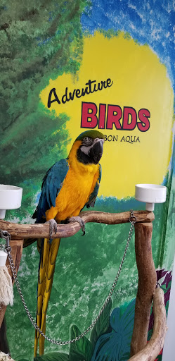Pet Store «Adventure Birds of Bon Aqua», reviews and photos, 9600 TN-46, Bon Aqua, TN 37025, USA
