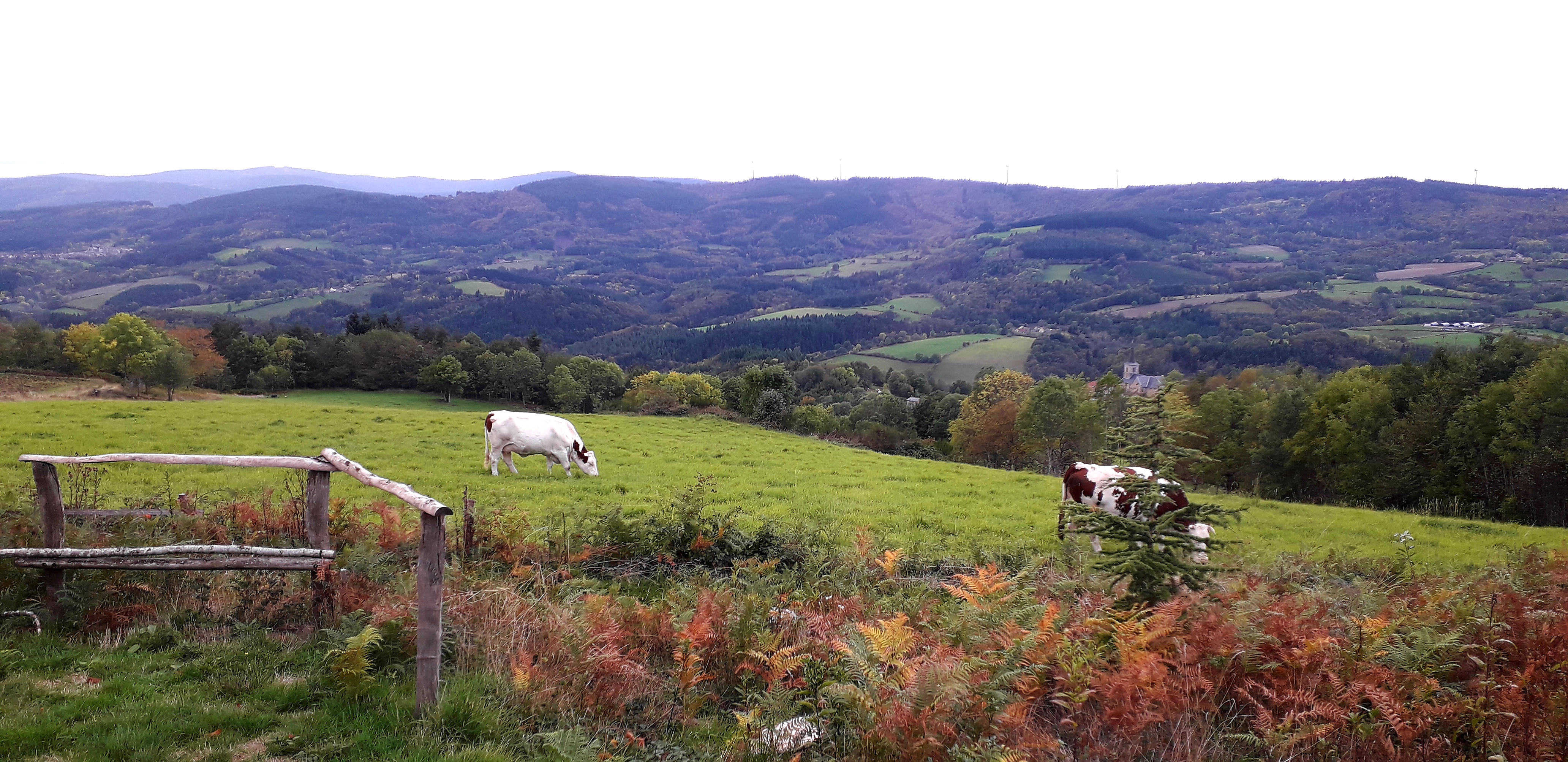 Photo n° 1 de l'avis de Tanja.a fait le 17/10/2019 à 11:53