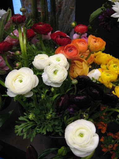 Florist «Best Wishes Floral», reviews and photos, 689 Winnetka Ave N, Golden Valley, MN 55427, USA