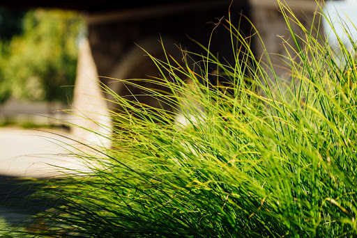 Funeral Home «Lee-Ellena Funeral Home», reviews and photos, 46530 Romeo Plank Rd, Macomb, MI 48044, USA