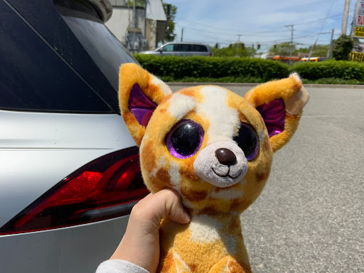 Nissan Dealer «Nissan of Huntington», reviews and photos, 850 E Jericho Turnpike, Huntington Station, NY 11746, USA