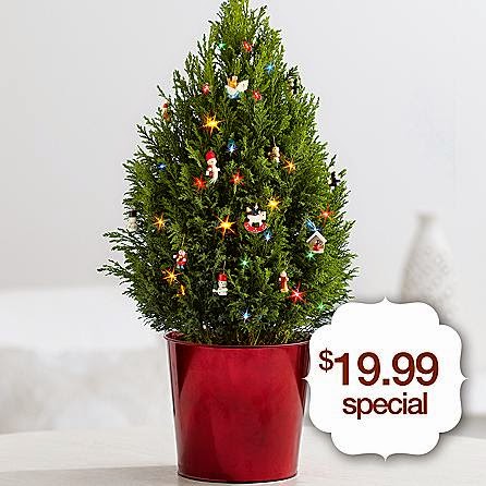 Spirit Landscaping Inc