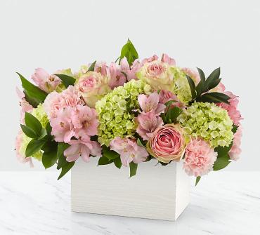 Florist «Creative Floral Designs», reviews and photos, 12158 Tech Rd, Silver Spring, MD 20904, USA