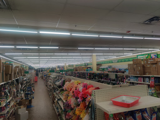 Dollar Store «Dollar Tree», reviews and photos, 206 Enterprise Dr, Rockaway, NJ 07866, USA