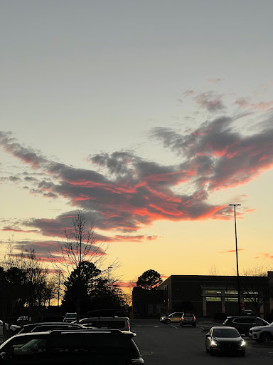 Grocery Store «Whole Foods Market», reviews and photos, 102 New Waverly Pl, Cary, NC 27518, USA