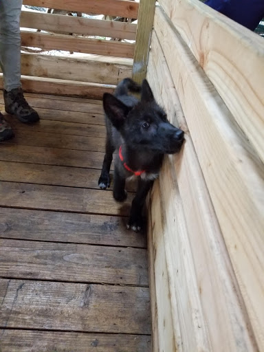 Zoo «Zoological Wildlife Foundation», reviews and photos, 16225 SW 172nd Ave, Miami, FL 33187, USA