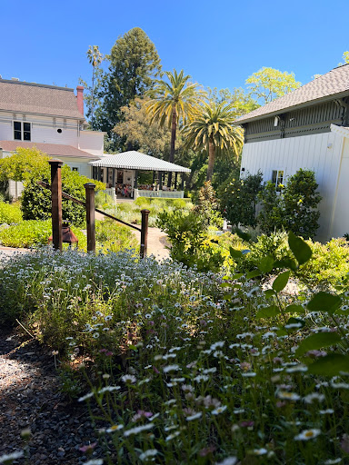 The Madrona image