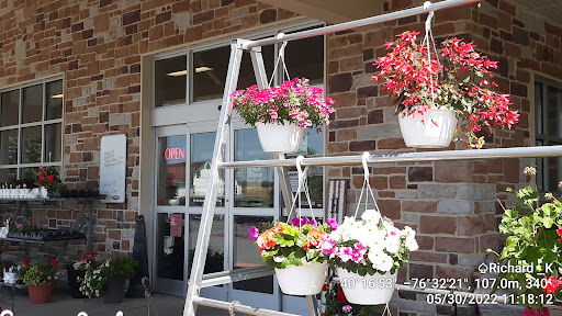 Grocery Store «Country View Grocery», reviews and photos, 1941 Horseshoe Pike, Annville, PA 17003, USA