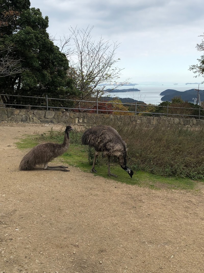 天空の大空テラス