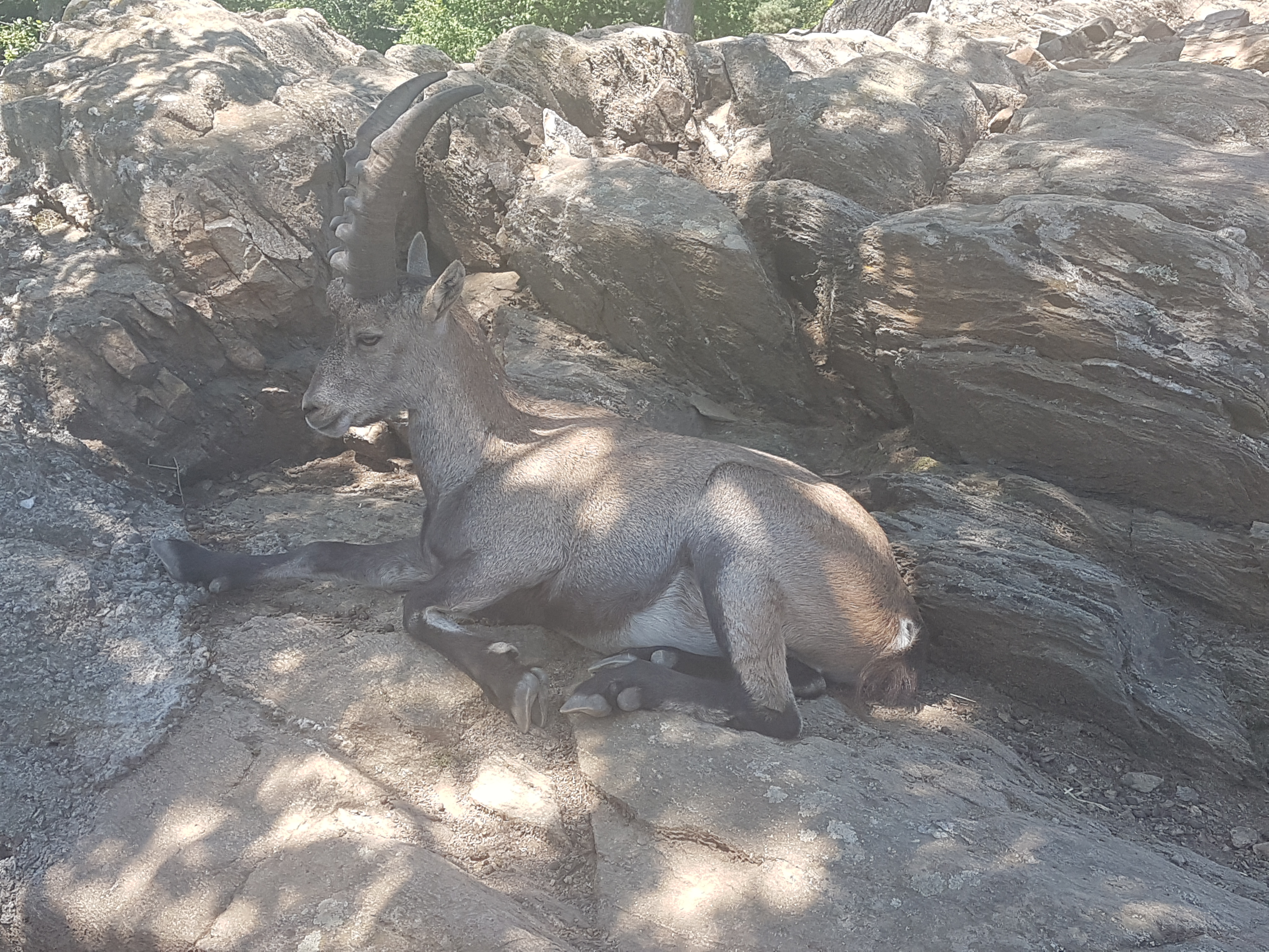 Photo n° 10 de l'avis de Myriam.o fait le 25/08/2019 à 11:46