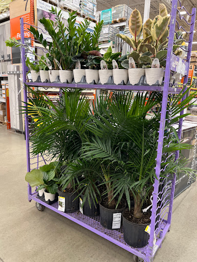 Home Improvement Store «The Home Depot», reviews and photos, 280 Fort Evans Rd NE, Leesburg, VA 20176, USA