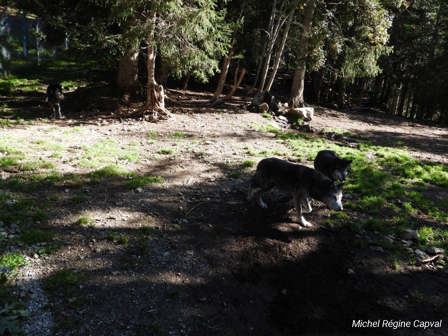 Photo n° 19 de l'avis de michel.a fait le 03/10/2019 à 13:25