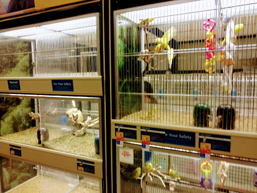 Pet Supply Store «PetSmart», reviews and photos, 24965 Pico Canyon Rd, Stevenson Ranch, CA 91381, USA