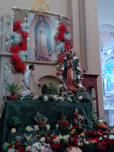 Saint Vincent de Paul Roman Catholic Church image