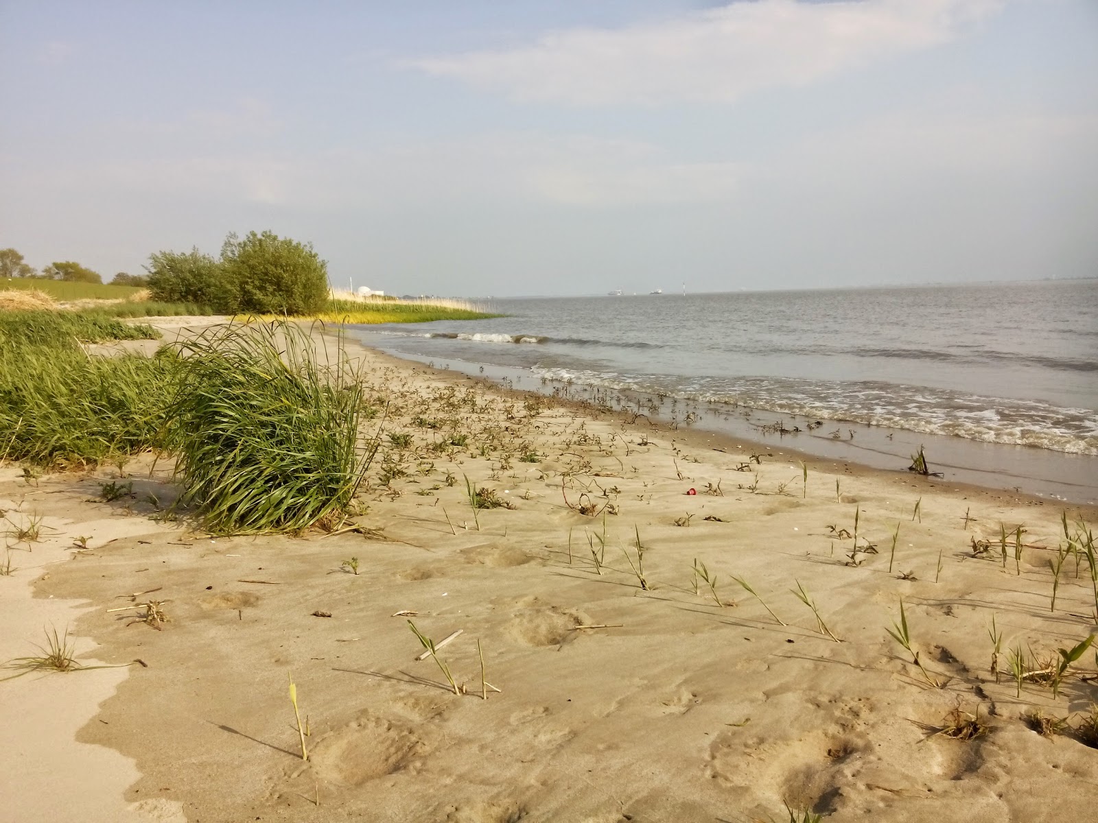Foto von Brokdorf strand mit türkisfarbenes wasser Oberfläche