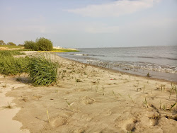 Brokdorf strand'in fotoğrafı çok temiz temizlik seviyesi ile