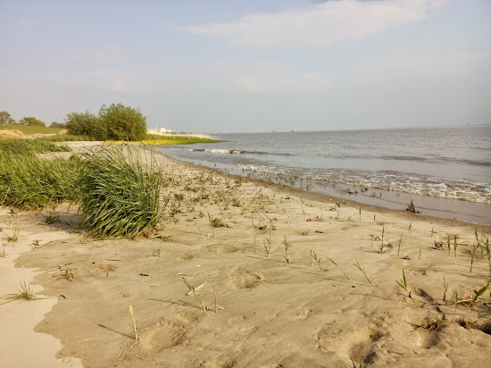 Brokdorf strand