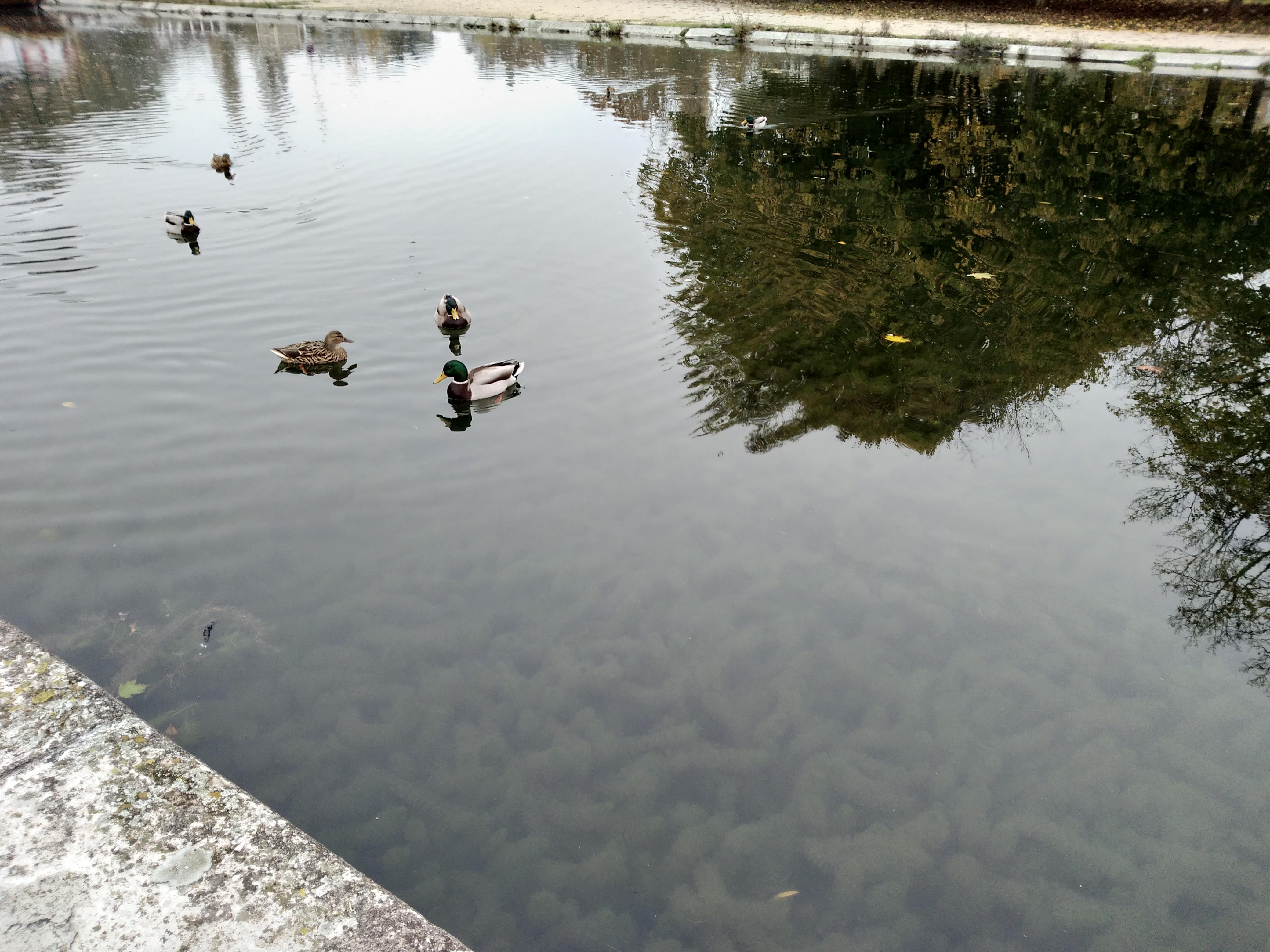 Photo n° 2 de l'avis de lucien.s fait le 14/11/2022 à 06:30