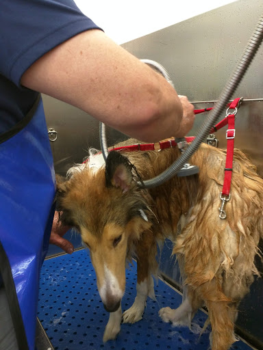 Pet Store «B & B Pet Stop, Inc.», reviews and photos, 5035 Cottage Hill Rd, Mobile, AL 36609, USA