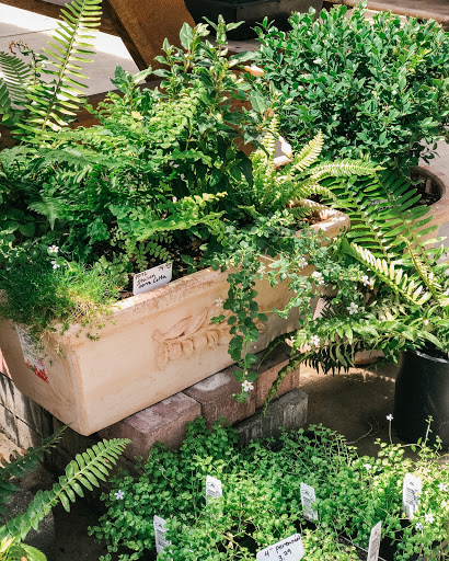 Hardware Store «Economy Supply of Lebanon», reviews and photos, 1055 Tangent St, Lebanon, OR 97355, USA