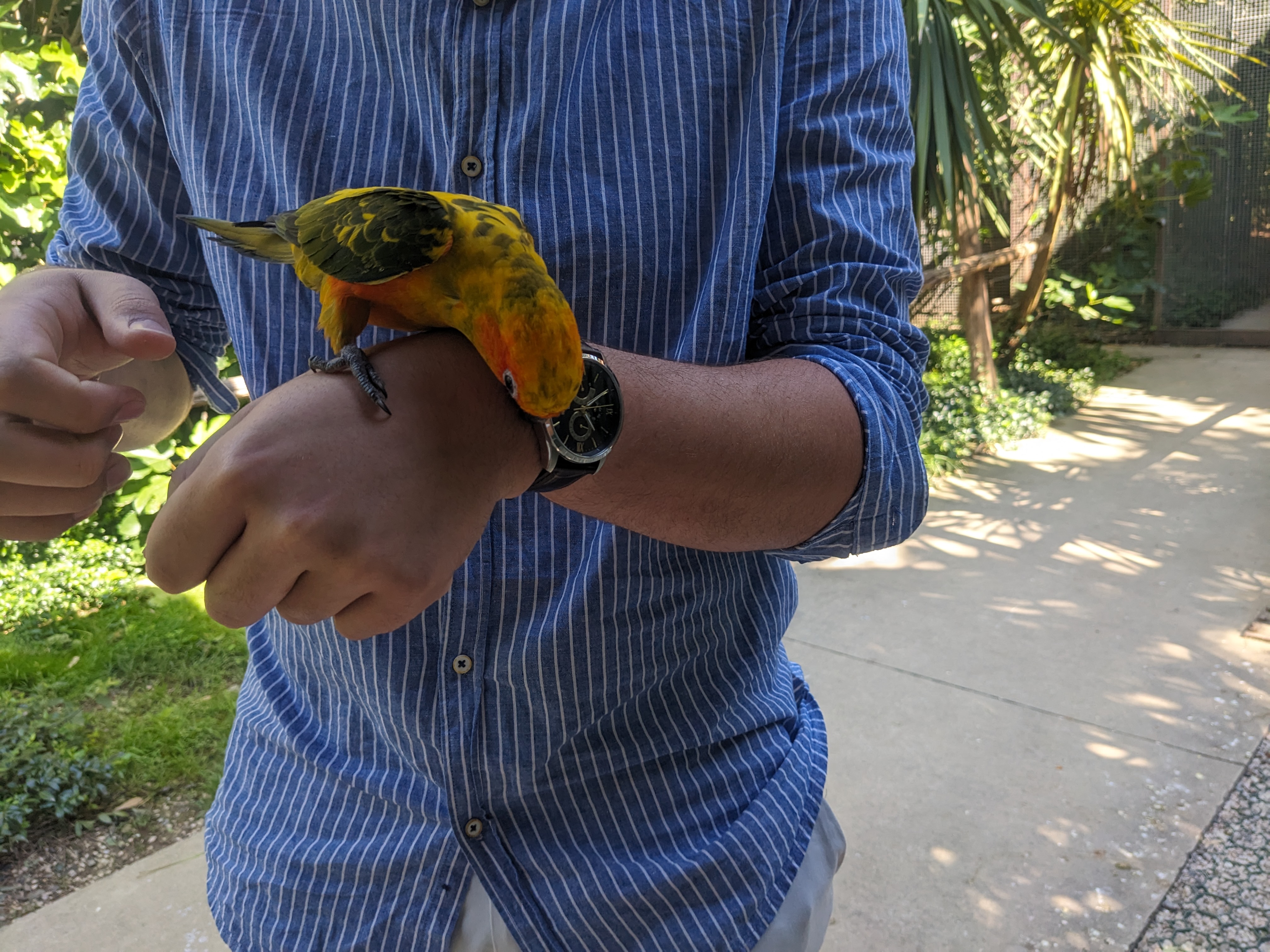 Photo n° 4 de l'avis de mathilde.a fait le 16/07/2023 à 19:21