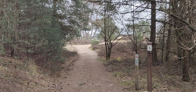 Reacties en beoordelingen van Hondenlosloopzone Duinengordel