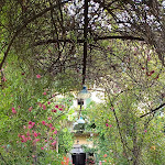 Photo n°1 de l'avis de Dustin.. fait le 22/06/2023 à 06:39 sur le  Ristorante San Silvestro à Domaso