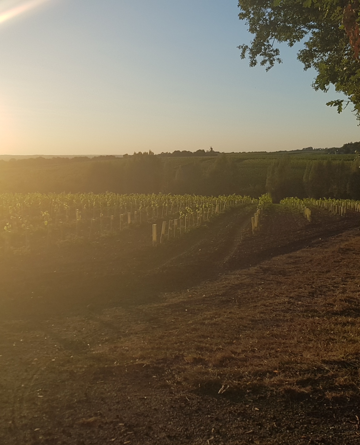Photo n° 4 de l'avis de Laetitia.t fait le 23/11/2018 à 00:35