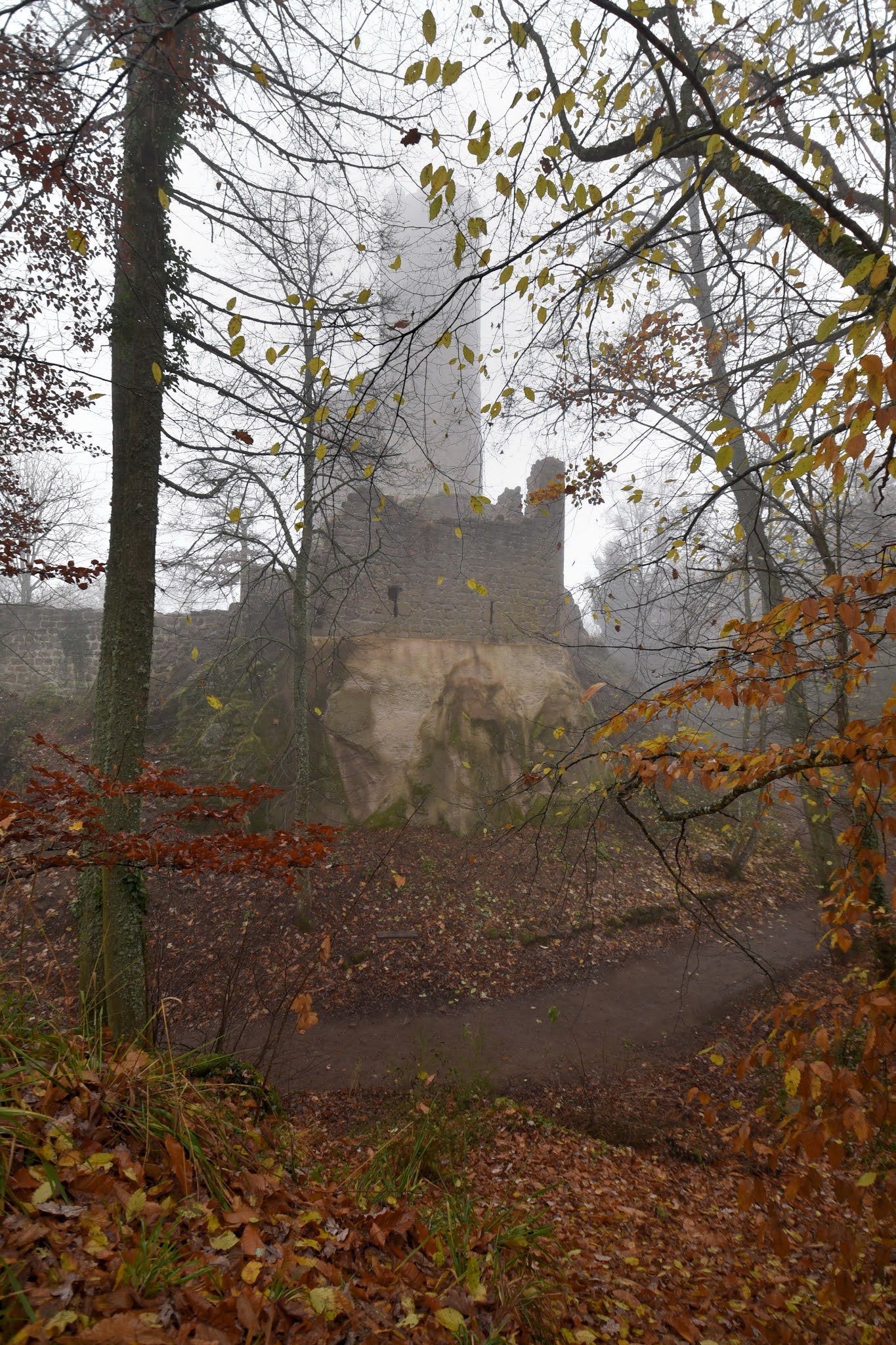 Photo n° 10 de l'avis de Ludovic.n fait le 21/11/2021 à 19:24
