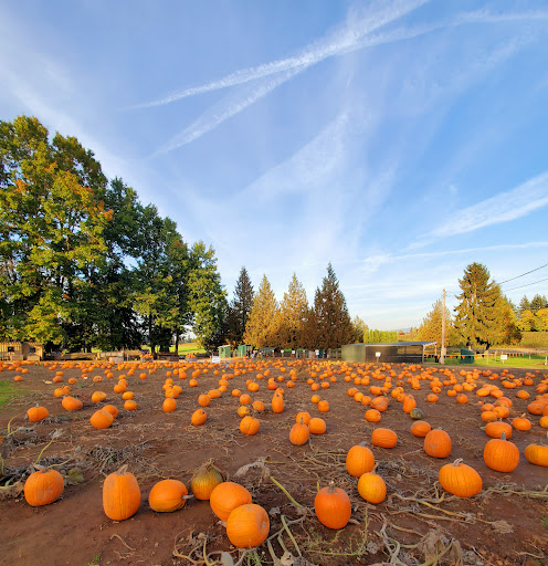 Bushue's Family Farm