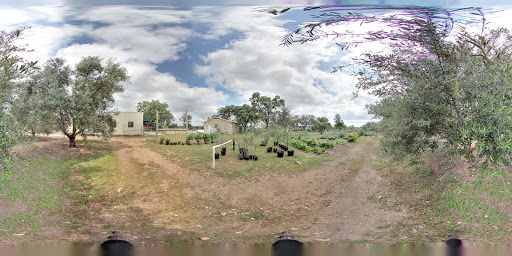 Tourist Attraction «The Bella Vista Ranch / First Texas Olive Oil Co.», reviews and photos, 3101 Mt Sharp Rd, Wimberley, TX 78676, USA