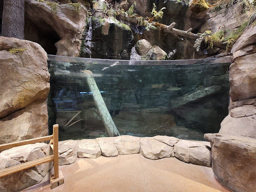 Sporting Goods Store «Bass Pro Shops», reviews and photos, 1 Bass Pro Dr, Bridgeport, CT 06608, USA