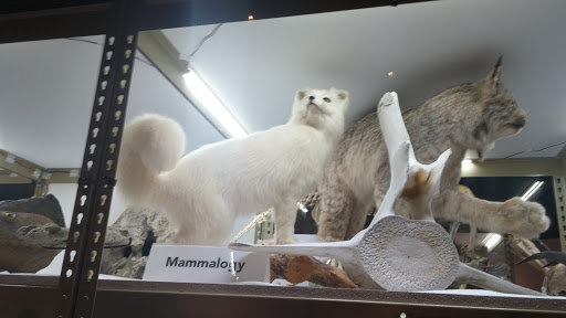 Natural History Museum «Burke Museum of Natural History and Culture», reviews and photos, 1413 NE 45th St, Seattle, WA 98105, USA