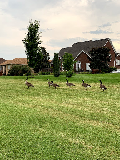 Golf Club «Five Oaks Golf & Country Club», reviews and photos, 621 5 Oaks Blvd, Lebanon, TN 37087, USA