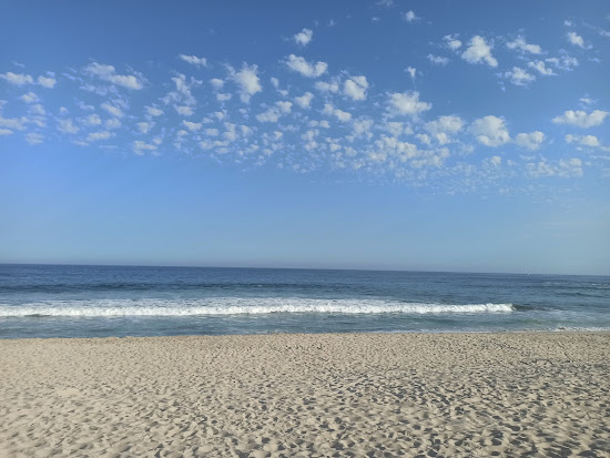 Playa Del Estero