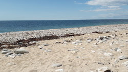 Monmouth beach'in fotoğrafı dağlarla çevrili