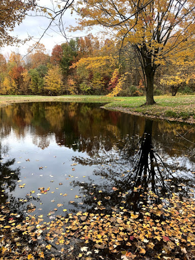 Golf Course «Michigan Meadows Golf Course», reviews and photos, 4575 County Line Rd, Casco, MI 48064, USA