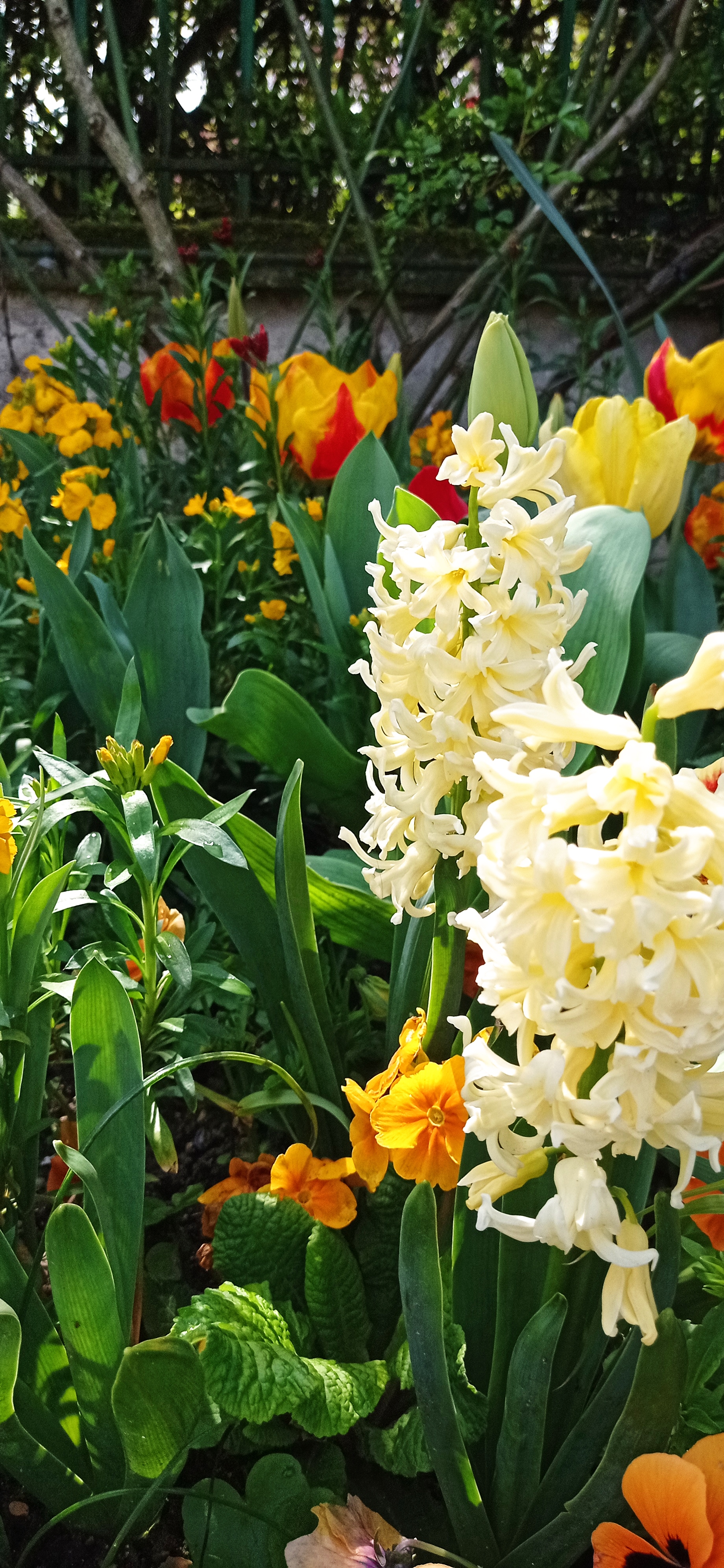 Photo n° 6 de l'avis de Marc.H fait le 16/04/2023 à 21:30