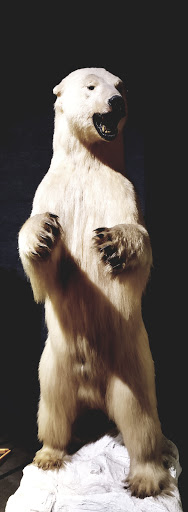 Museum «Delaware Museum of Natural History», reviews and photos, 4840 Kennett Pike, Wilmington, DE 19807, USA