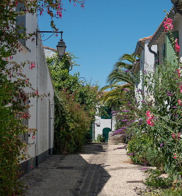 La Martinoise Garden à Saint-Martin-de-Ré