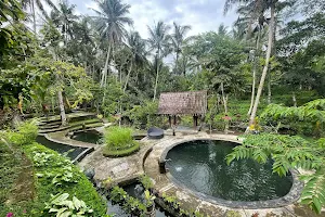 Taman Beji Manik Segara image