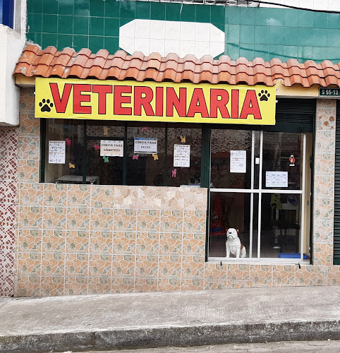 Opiniones de Veterinaria "Pastor Pet" en Quito - Veterinario