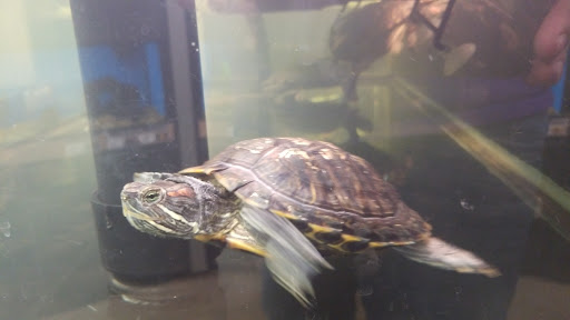 Pet Supply Store «Petco Animal Supplies», reviews and photos, 4665 Garth Rd #400, Baytown, TX 77521, USA