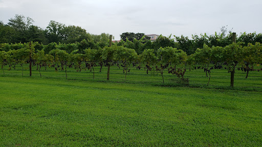 Winery «Willow Creek Winery and Farm», reviews and photos, 160-168 Stevens St, West Cape May, NJ 08204, USA