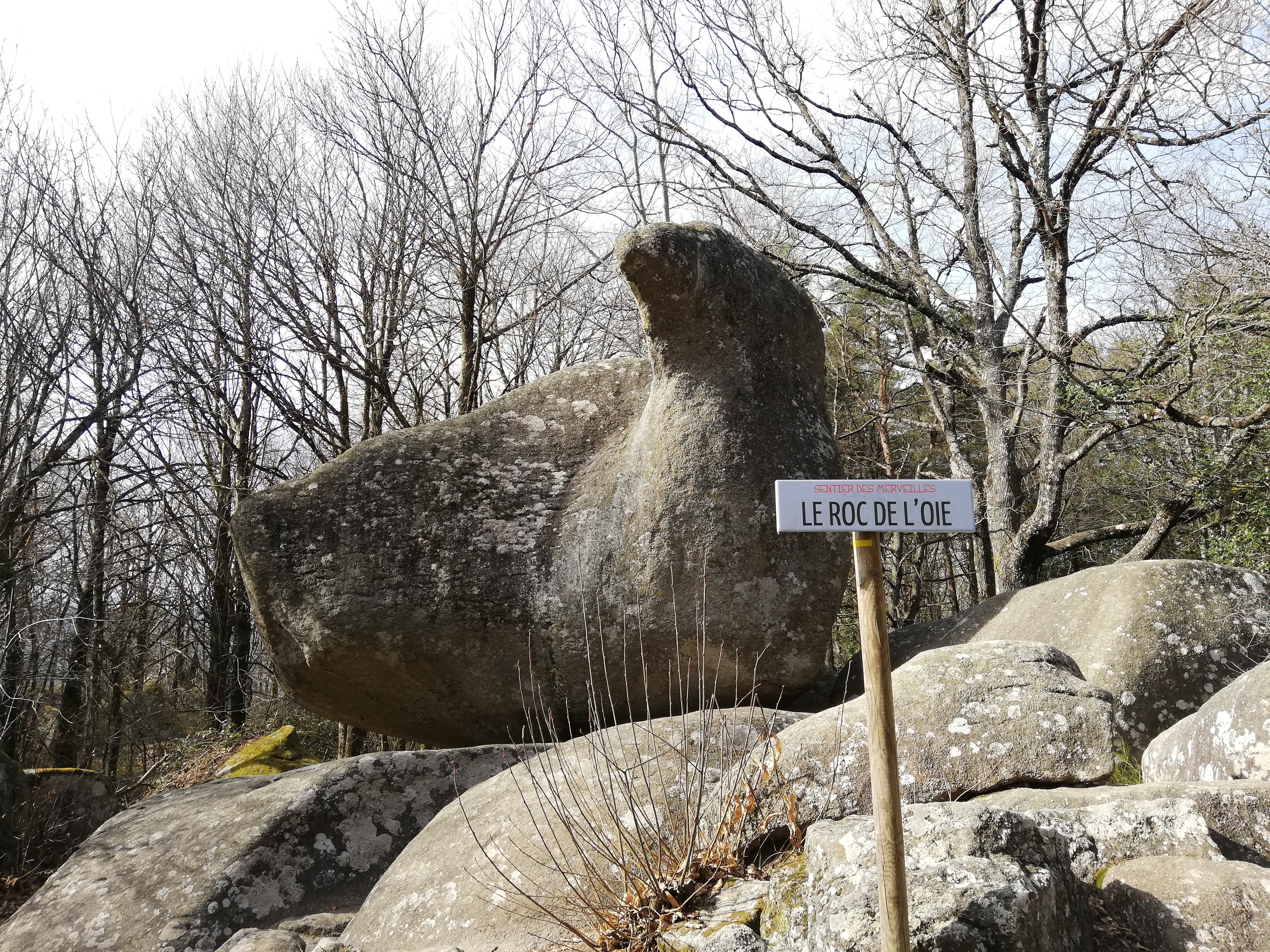 Photo n° 2 de l'avis de Lorene.o fait le 13/03/2019 à 21:32