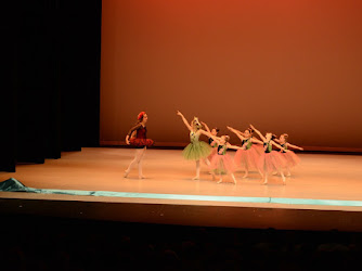 Articulate Motions Dance Academy