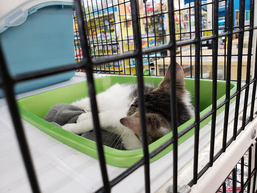 Pet Store «Pet Supermarket», reviews and photos, 9798 Glades Rd, Boca Raton, FL 33434, USA