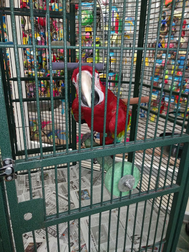 Pet Store «Discount Pet & Supplies», reviews and photos, 16320 Middlebelt Rd, Livonia, MI 48154, USA